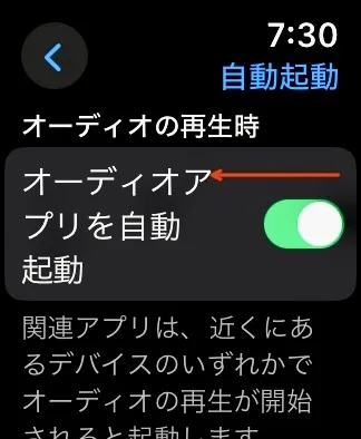 オーディオアプリを自動起動オフ